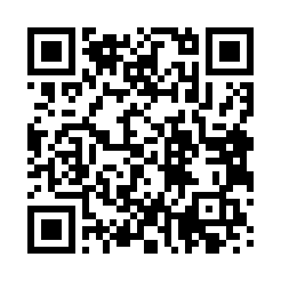 Demo UPI QR code